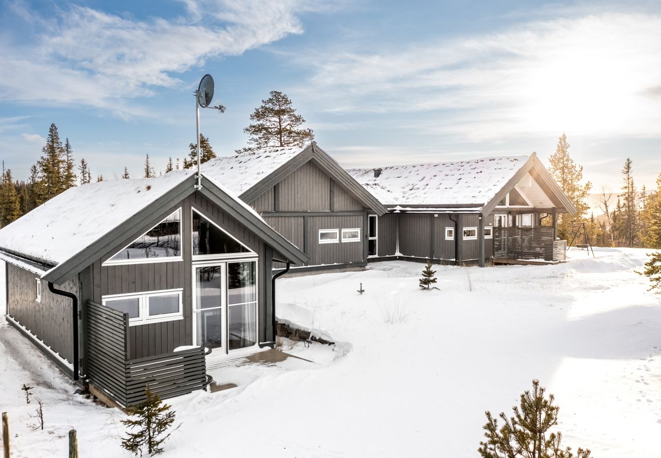 Hytte i Hemsedal - Gullstrupa, spacious family cabin in Hemsedal