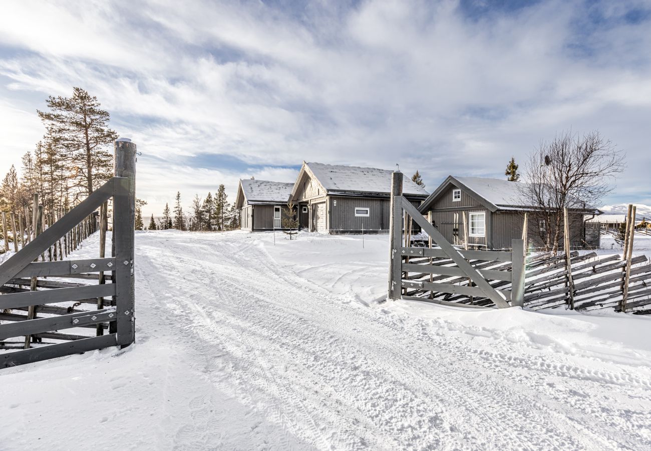 Hytte i Hemsedal - Gullstrupa, spacious family cabin in Hemsedal