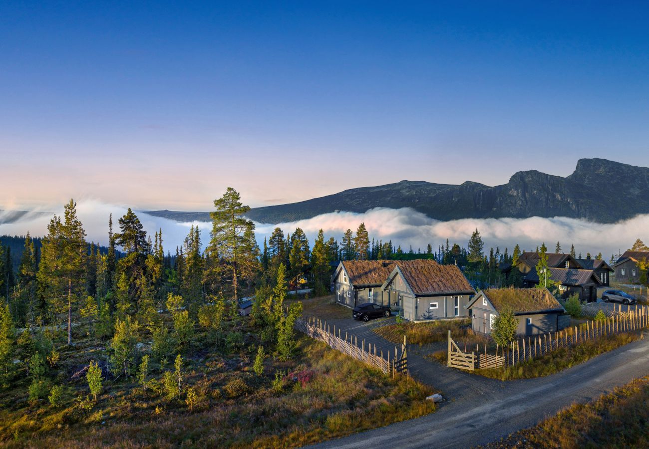 Hytte i Hemsedal - Gullstrupa, spacious family cabin in Hemsedal