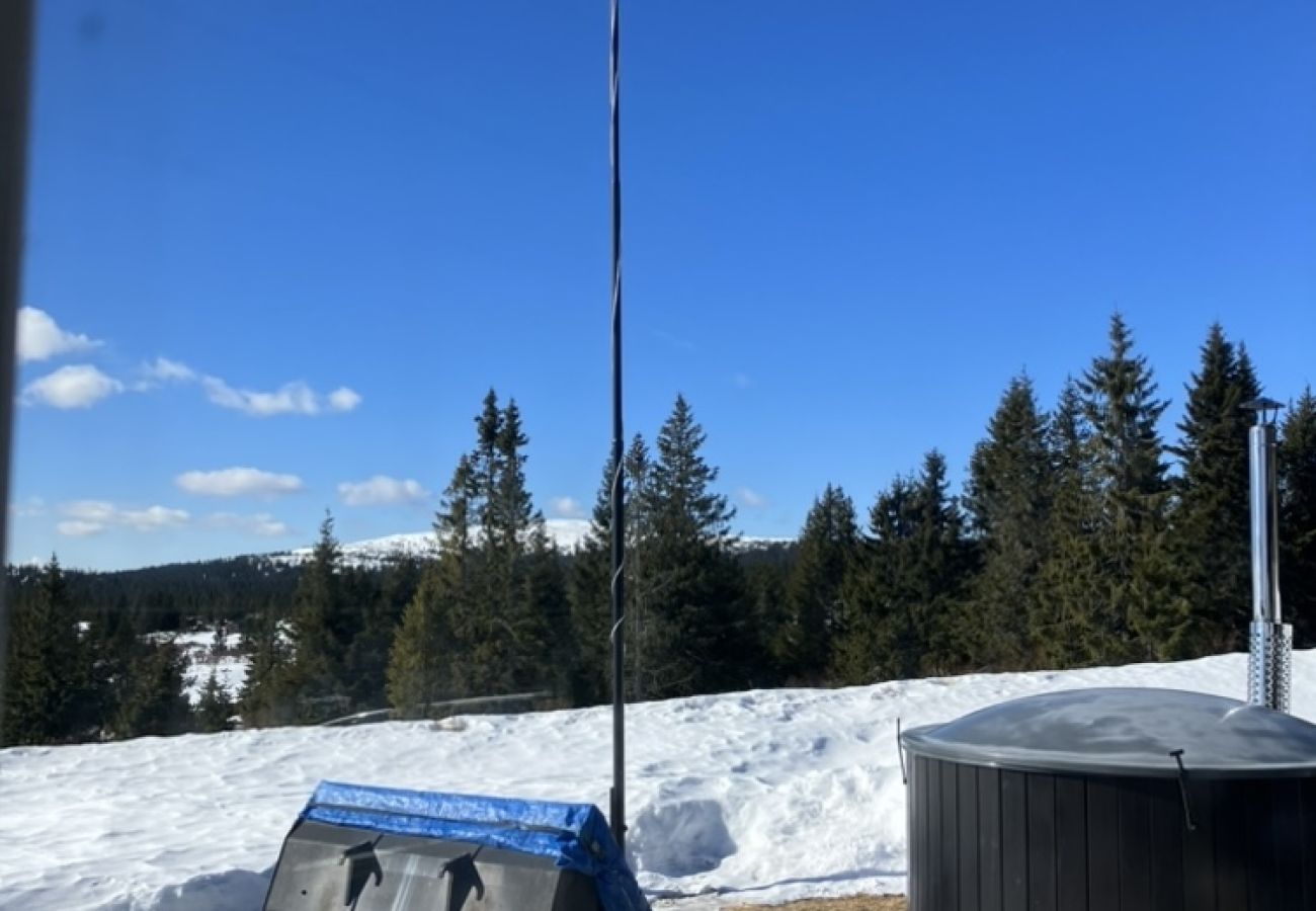 Hytte i Lillehammer - Mountain cabin in Lillehammer