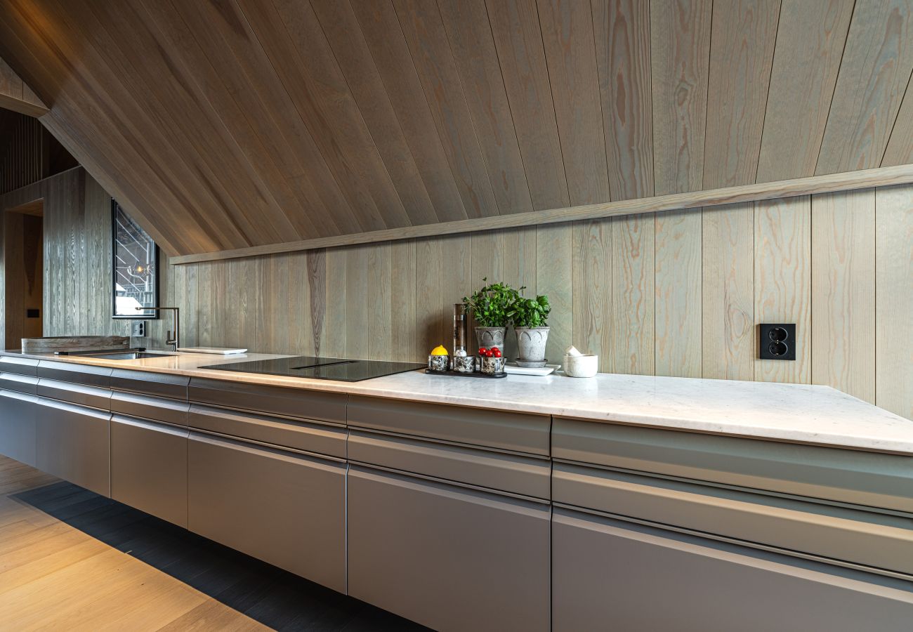 Leilighet i Hol - High-end luxury penthouse, Geilo