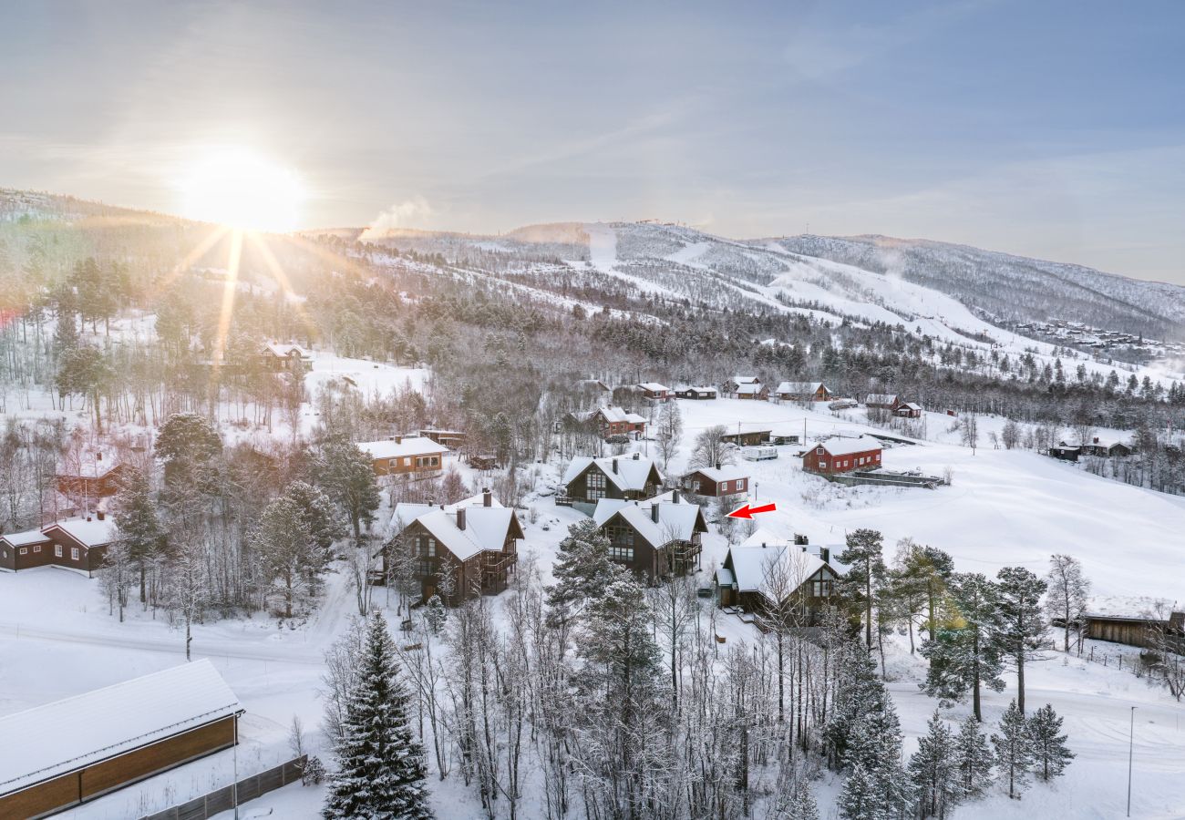 Leilighet i Hol - High-end luxury penthouse, Geilo
