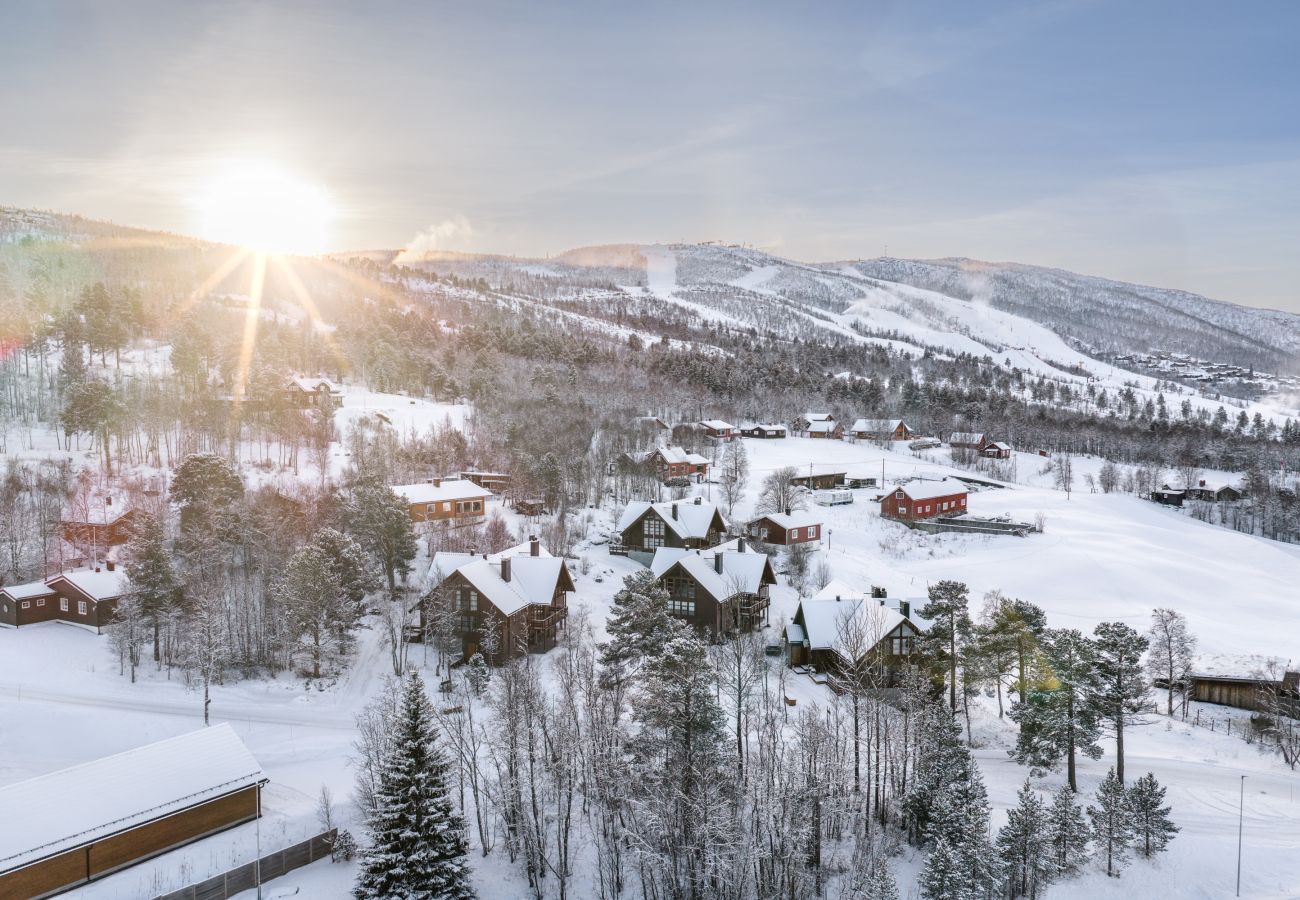 Leilighet i Hol - High-end luxury penthouse, Geilo
