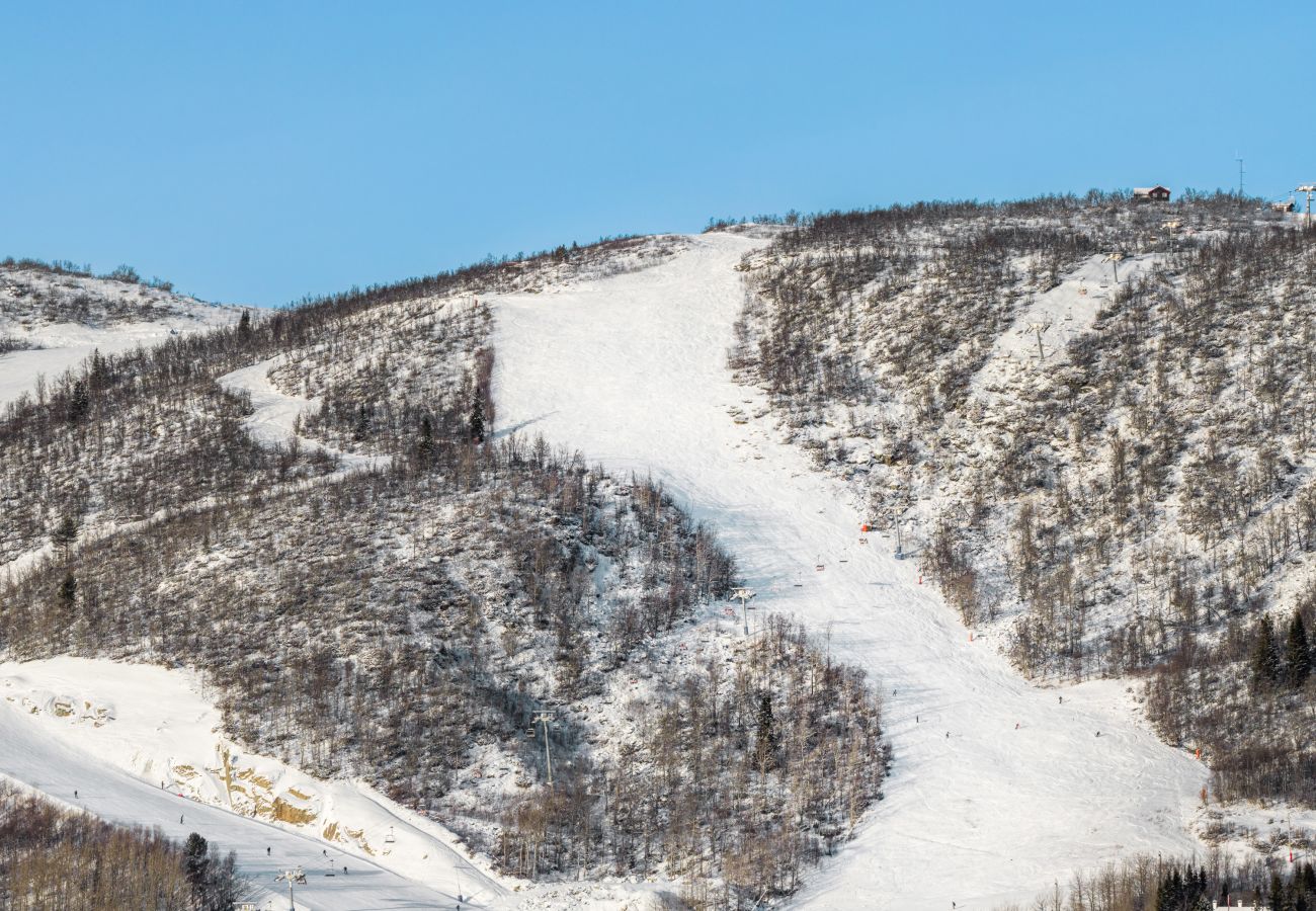 Leilighet i Hol - High-end luxury penthouse, Geilo