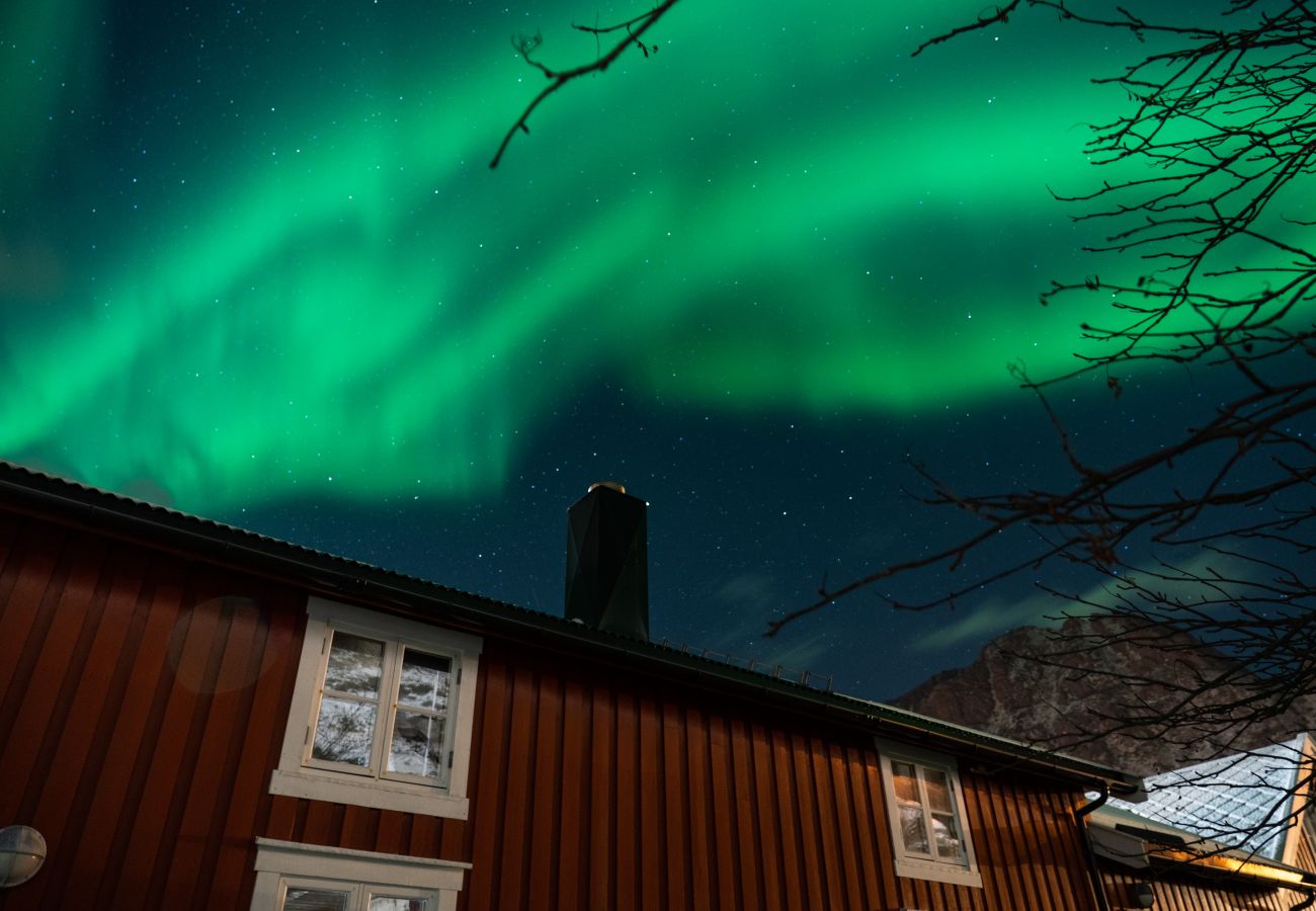 Hytte i Flakstad - Alf-Bua, Sund in Lofoten