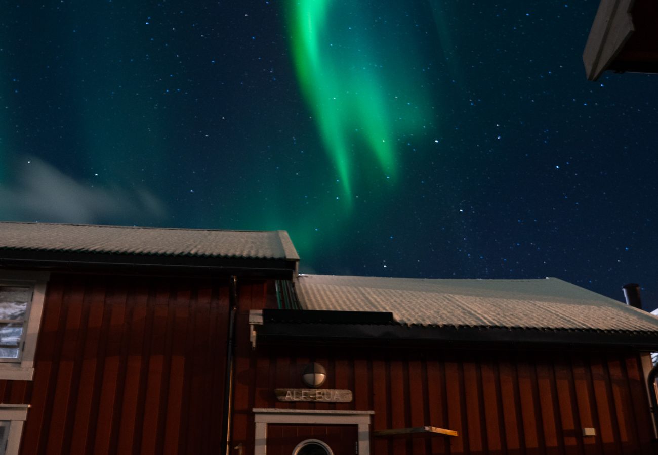 Hytte i Flakstad - Alf-Bua, Sund in Lofoten