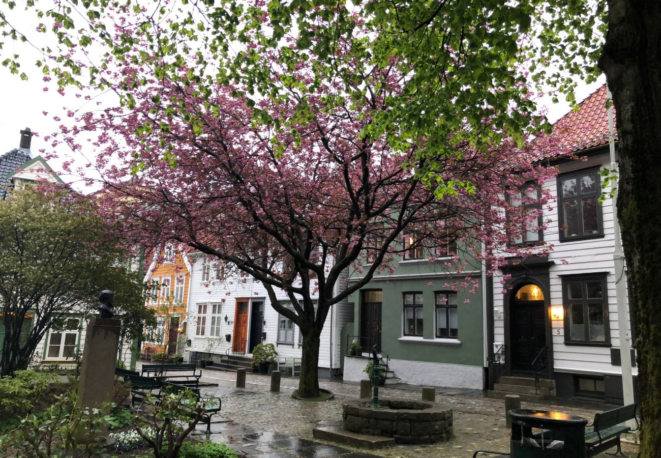 Leilighet i Bergen - City apartment in Bergen