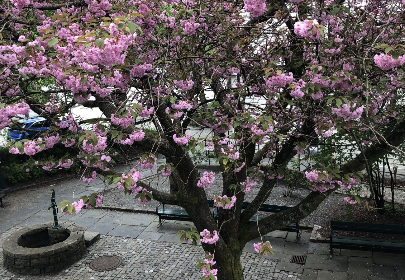 Leilighet i Bergen - City apartment in Bergen