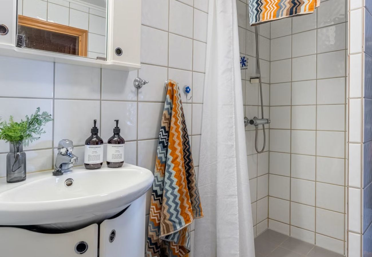 Leilighet i Hemsedal - Large ski apartment in Skardsnuten, Ski/Inn-Ski/Out