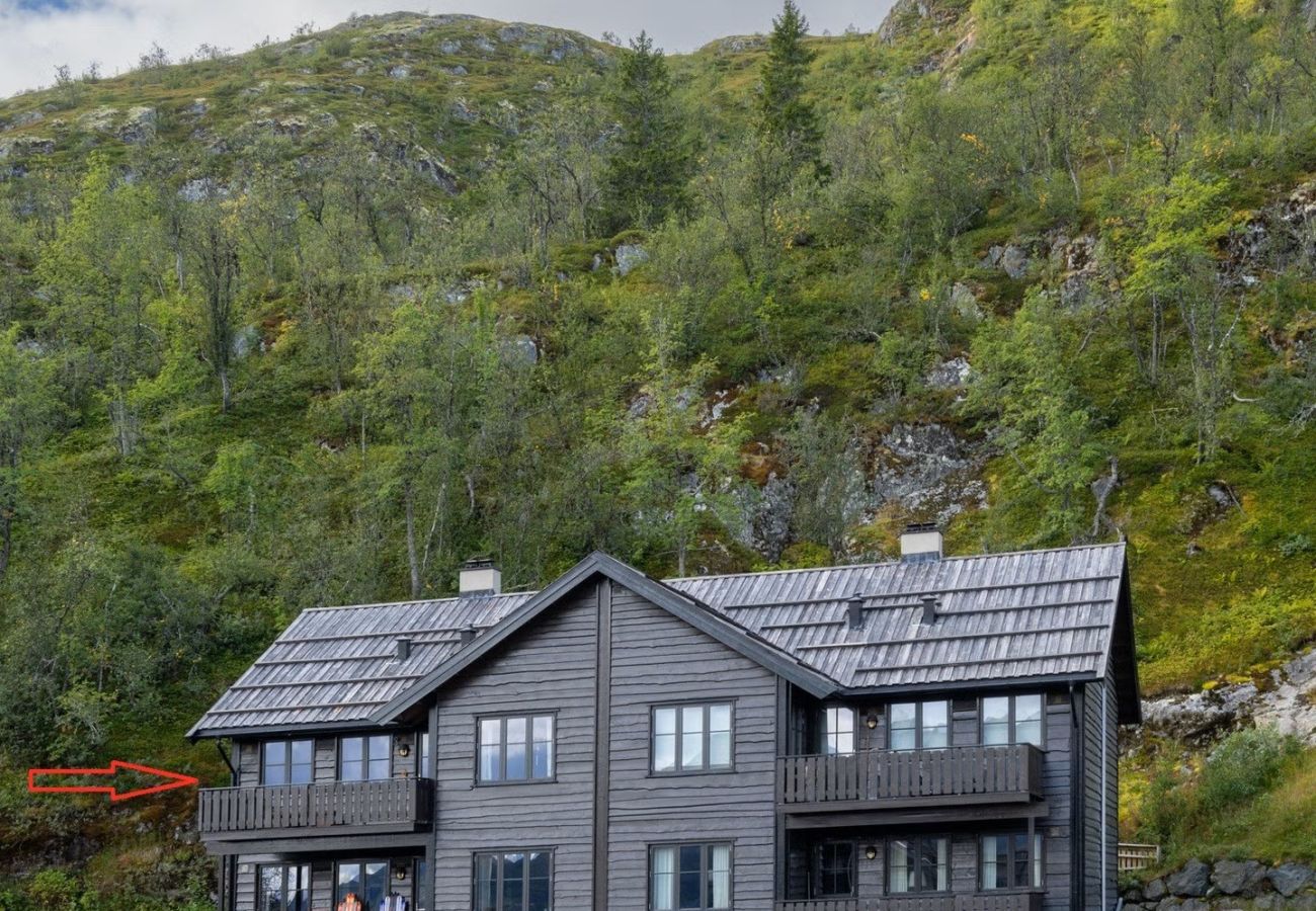 Leilighet i Hemsedal - Large ski apartment in Skardsnuten, Ski/Inn-Ski/Out