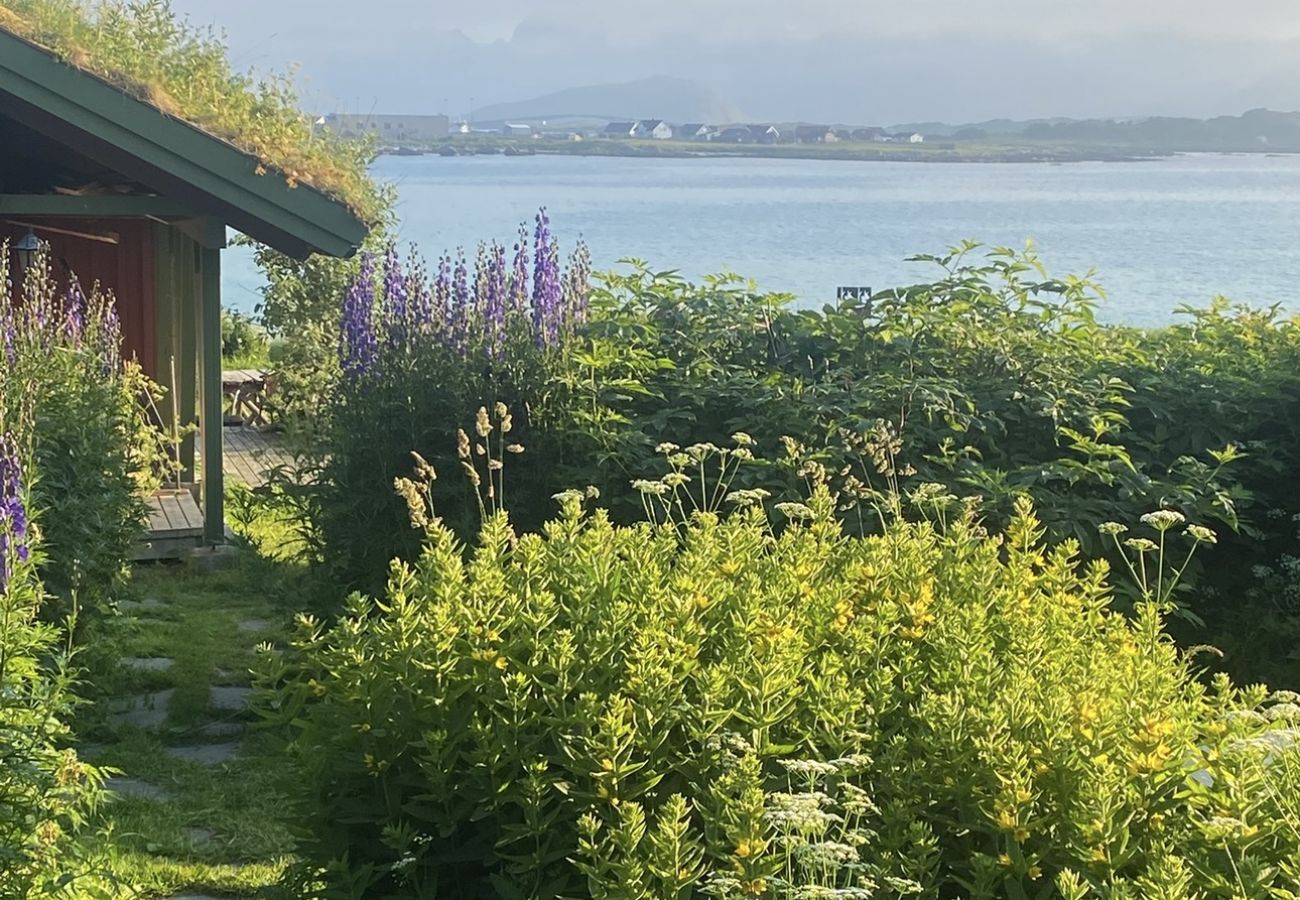 Studioleilighet i Flakstad - Koselig studio i Lofoten - nær Rambergstranda