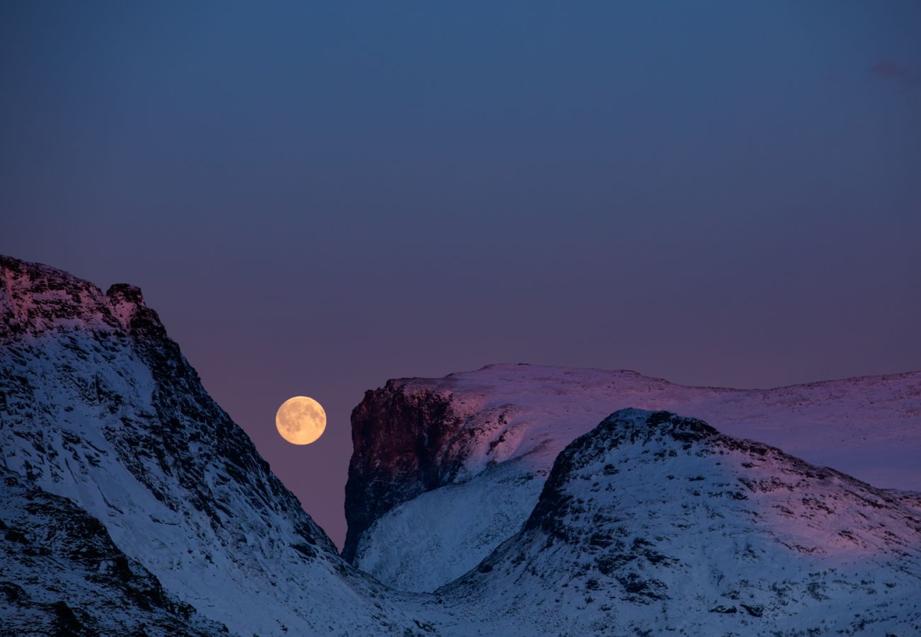 Hus i Flakstad - Fredly, beautiful home in Fredvang
