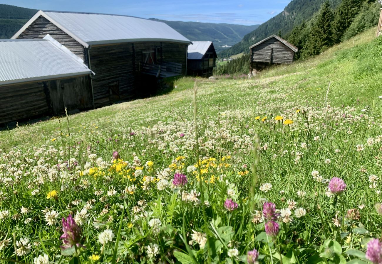 Hus i Ål - Architect designed sleeping box in barn