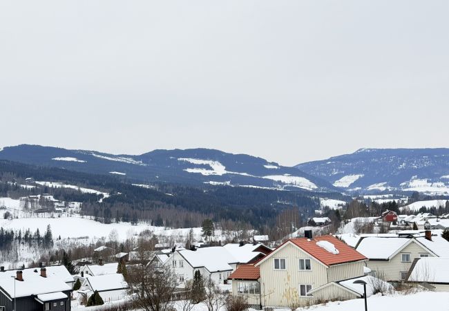 Leilighet i Gudbrandsdalen - Spacious apartment in Follebu