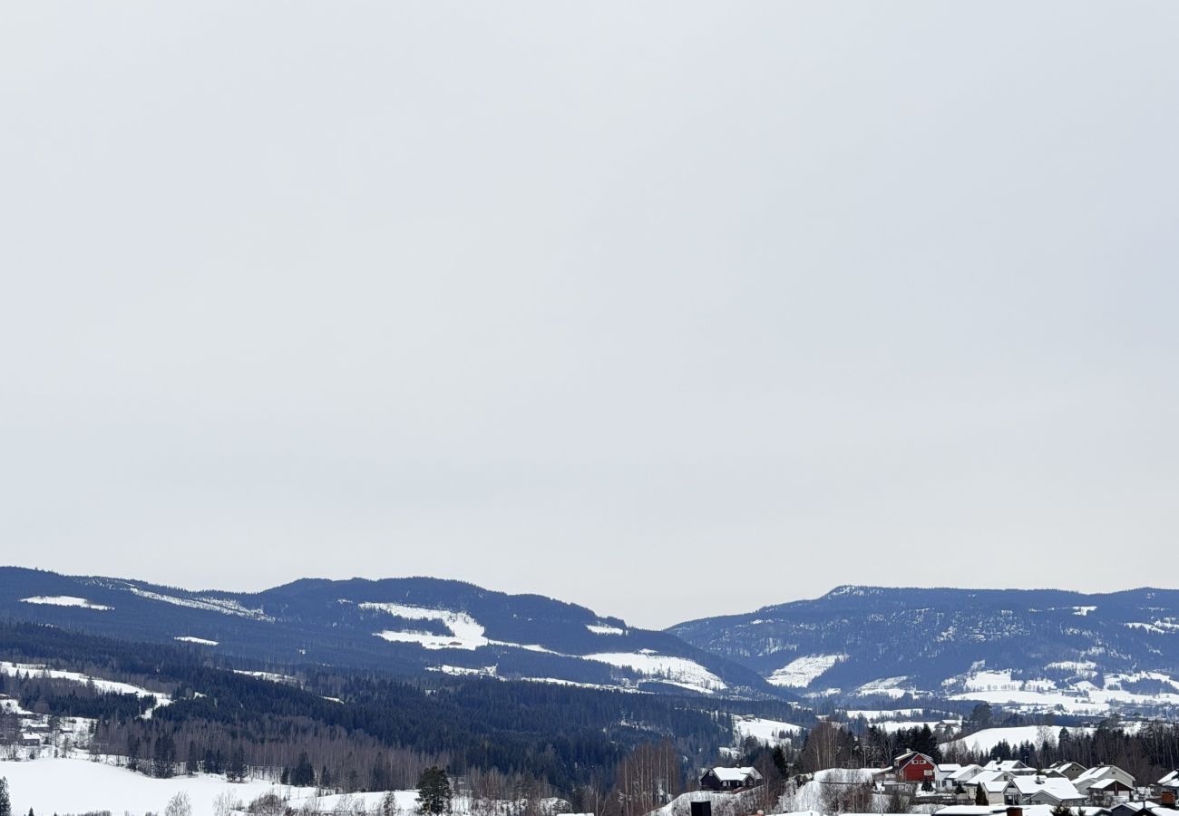 Leilighet i Gudbrandsdalen - Spacious apartment in Follebu