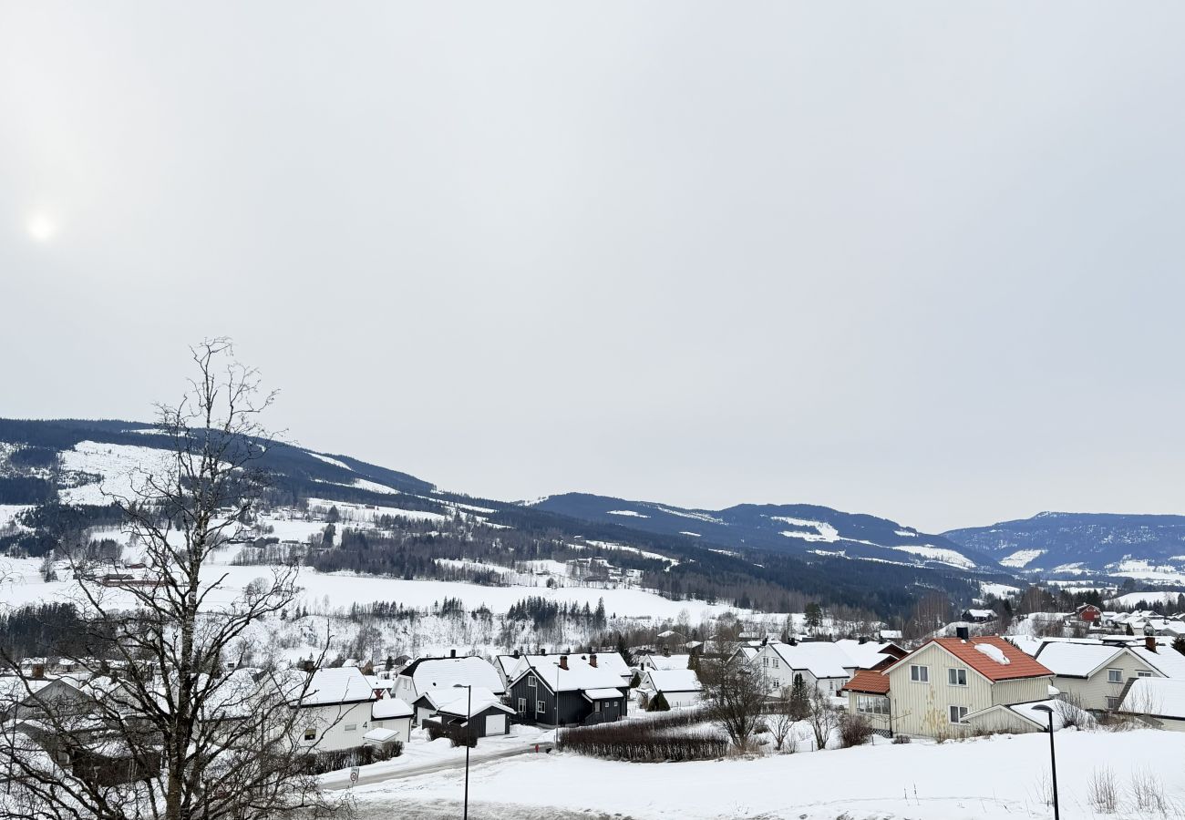 Leilighet i Gudbrandsdalen - Spacious apartment in Follebu