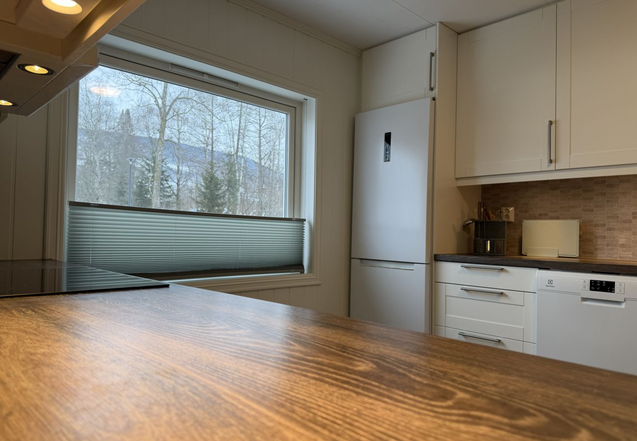 Leilighet i Gudbrandsdalen - Spacious apartment in Follebu