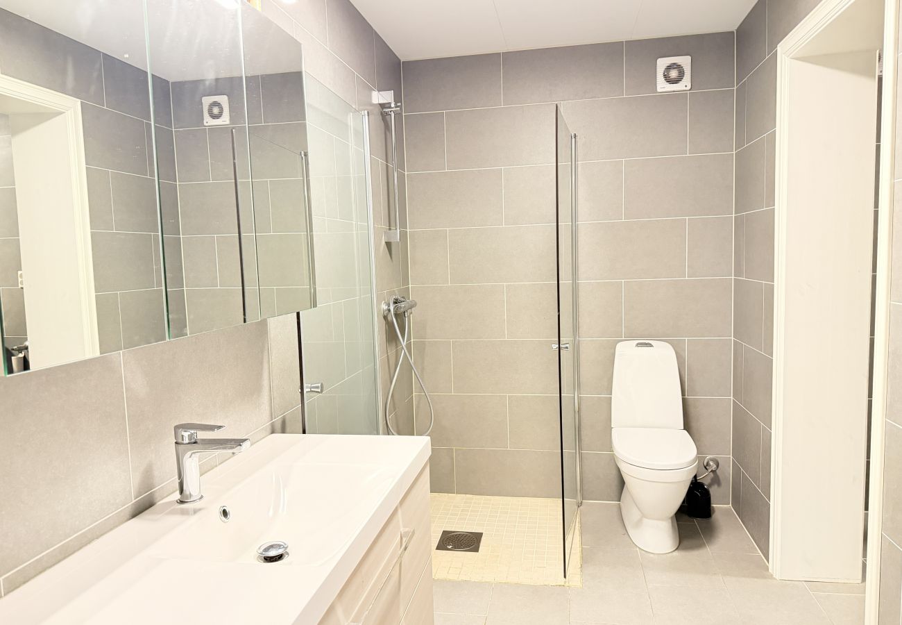 Leilighet i Gudbrandsdalen - Spacious apartment in Follebu