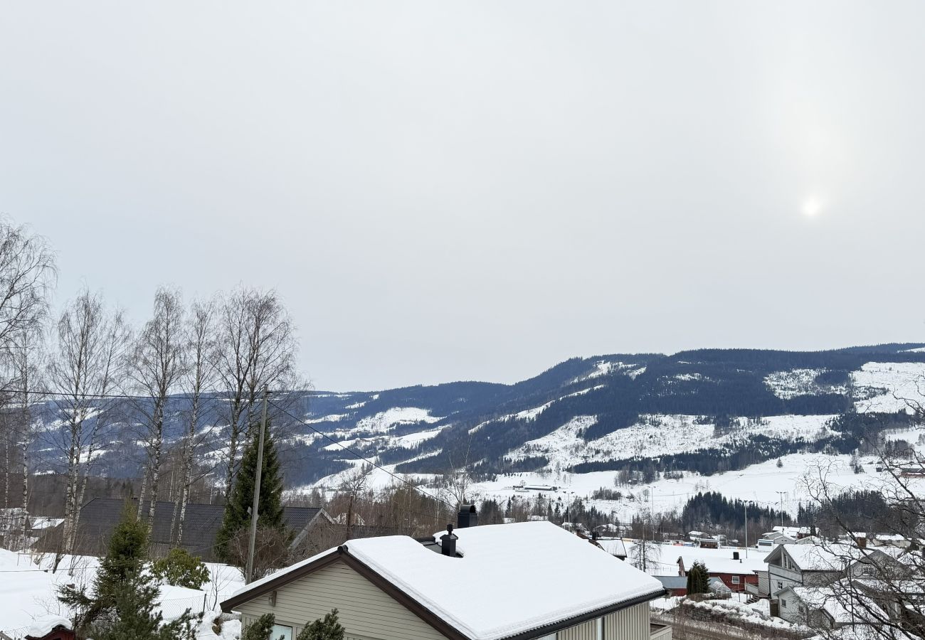 Leilighet i Gudbrandsdalen - Spacious apartment in Follebu