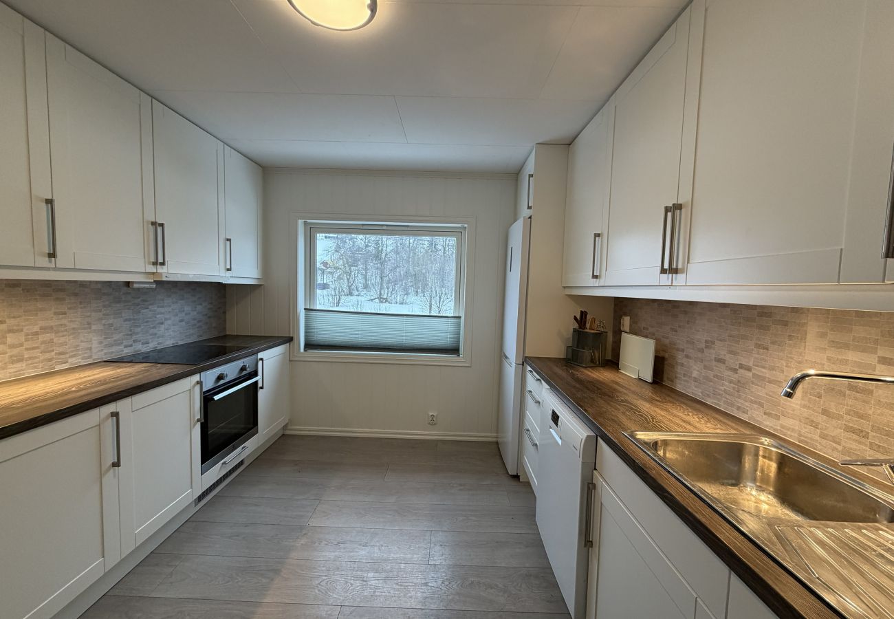 Leilighet i Gudbrandsdalen - Spacious apartment in Follebu