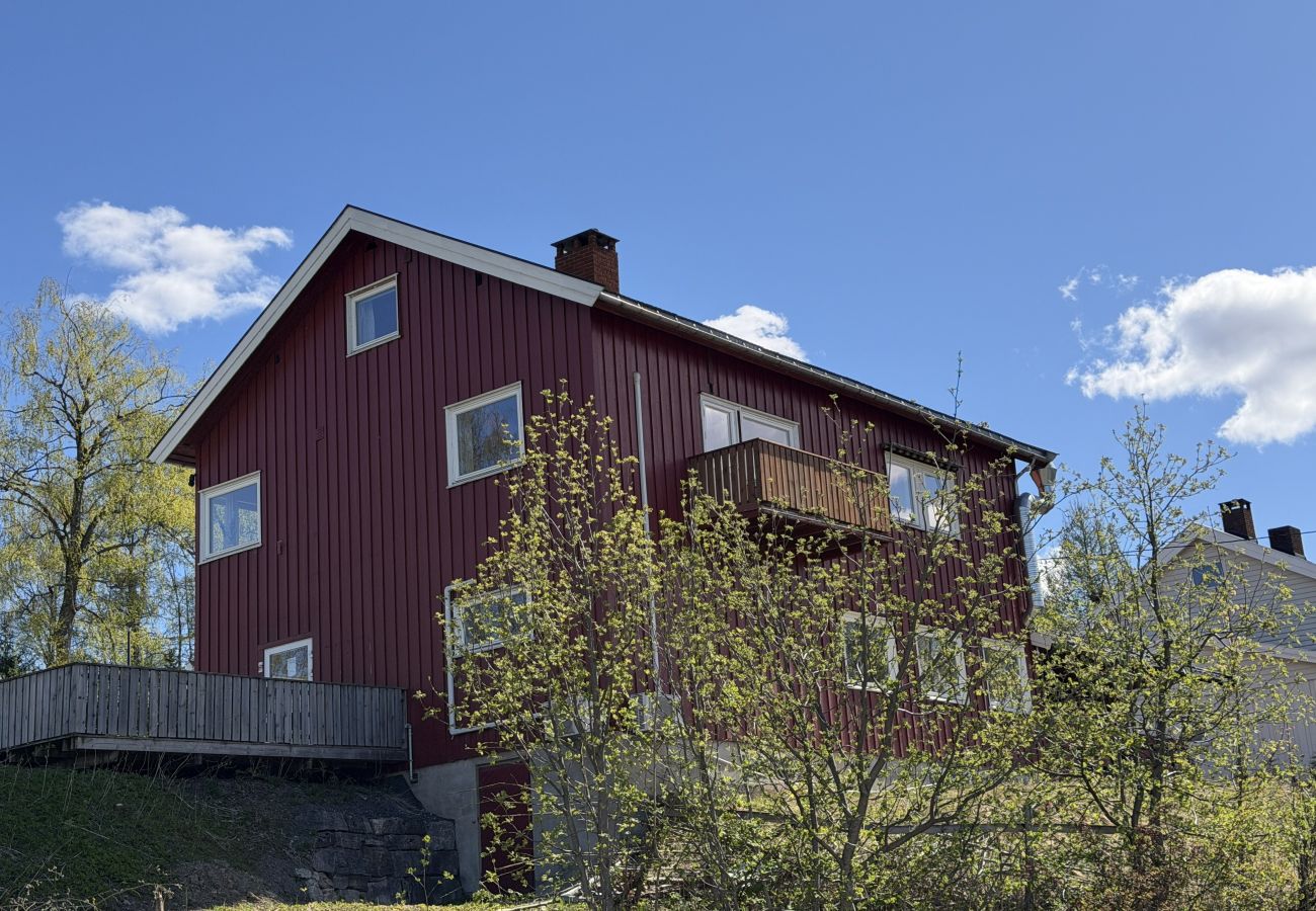 Leilighet i Gudbrandsdalen - Spacious apartment in Follebu