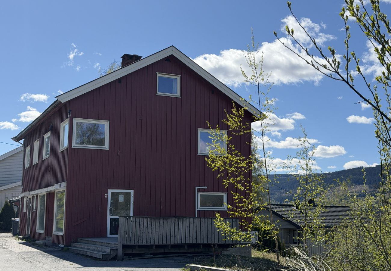 Leilighet i Gudbrandsdalen - Spacious apartment in Follebu