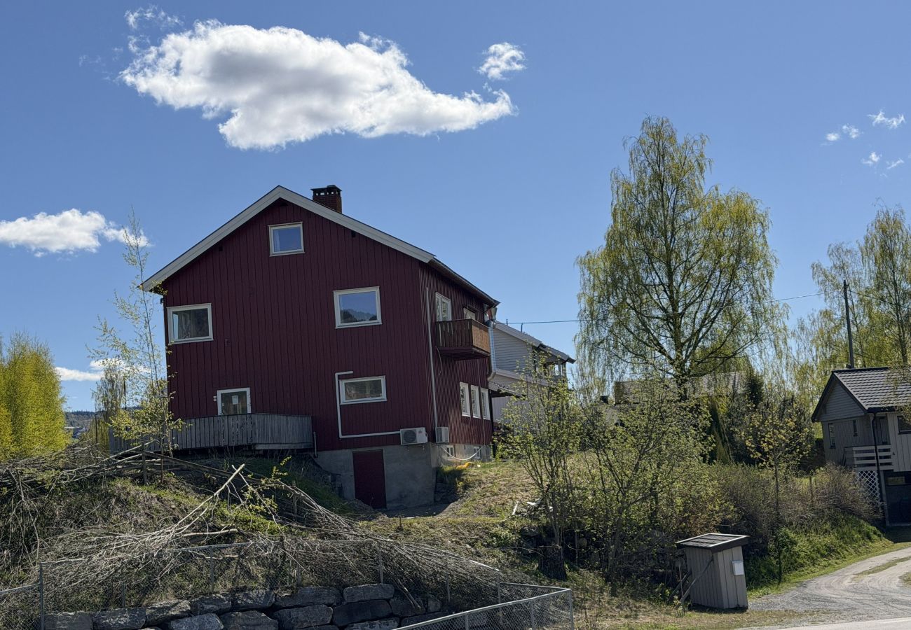 Leilighet i Gudbrandsdalen - Spacious apartment in Follebu
