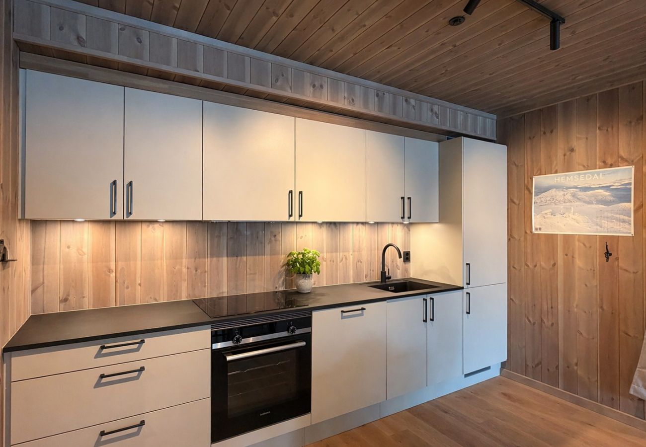 Leilighet i Hemsedal - Charming new ski-in/ski-out apartment in Hemsedal