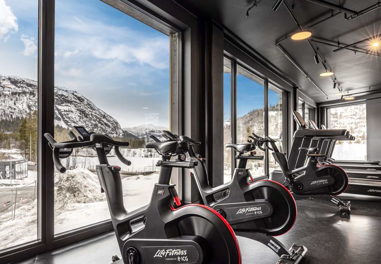 Leilighet i Hemsedal - Charming new ski-in/ski-out apartment in Hemsedal