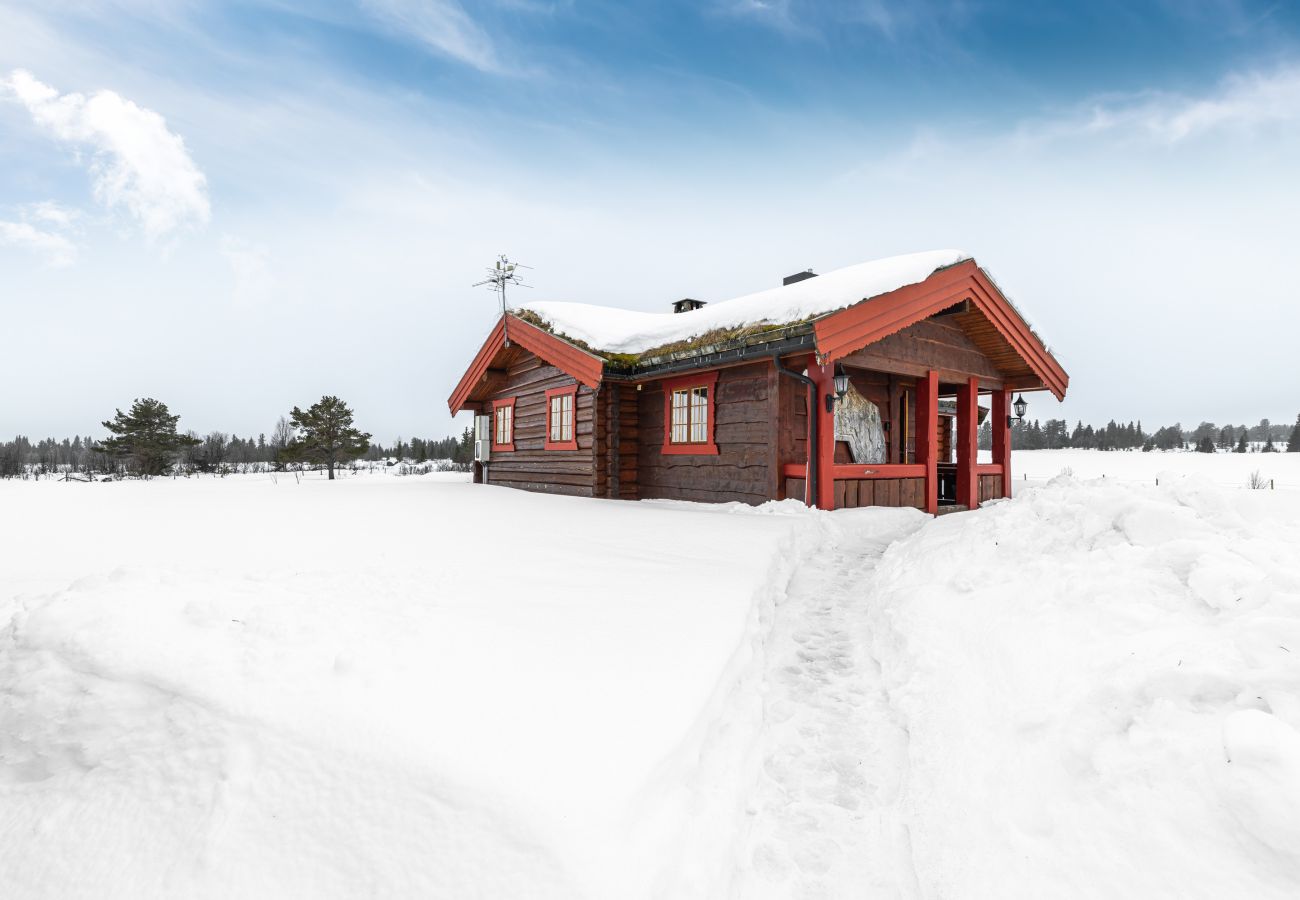 Hytte i Gol - Øynebråten Støl, Golsfjellet