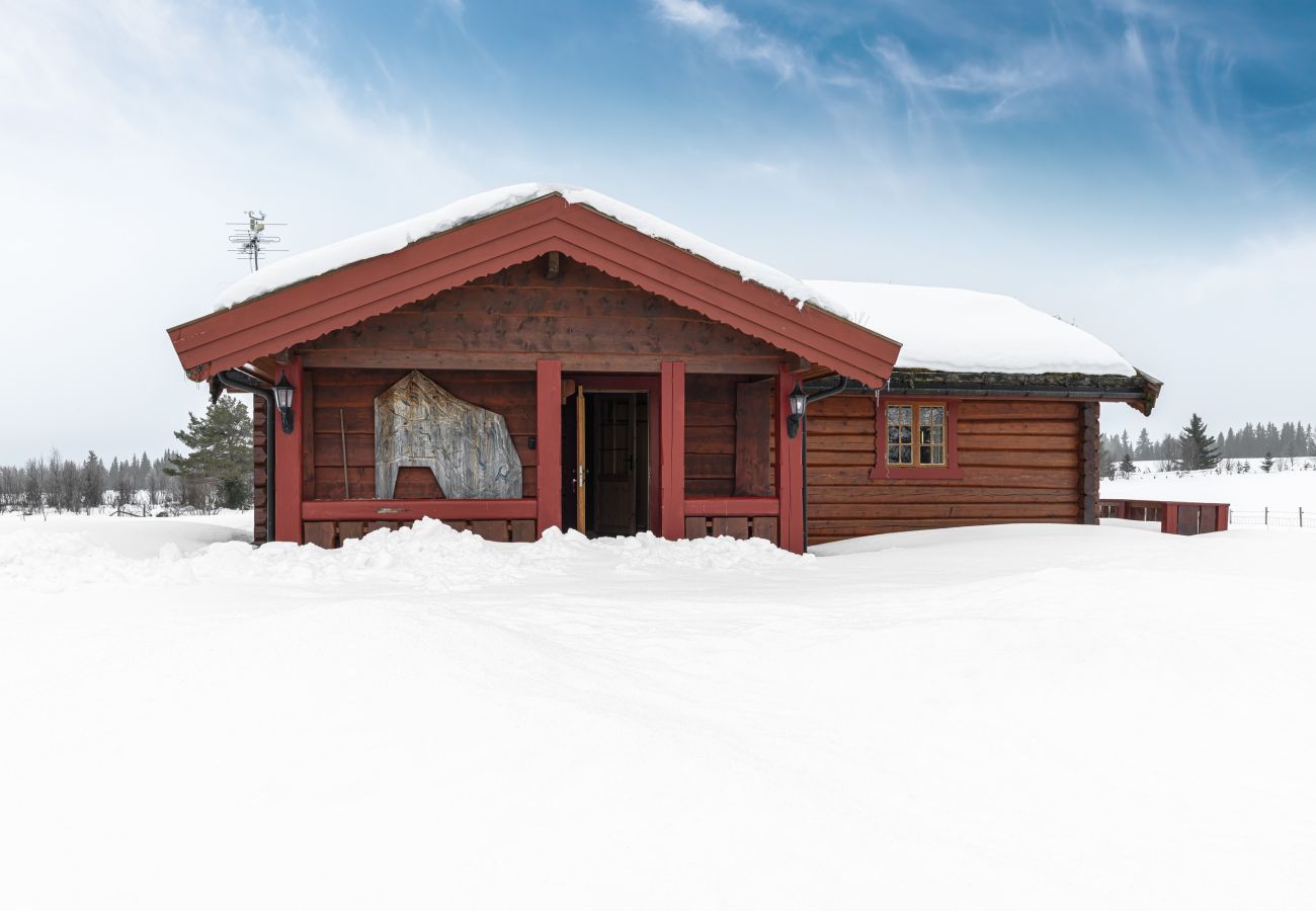 Hytte i Gol - Øynebråten Støl, Golsfjellet