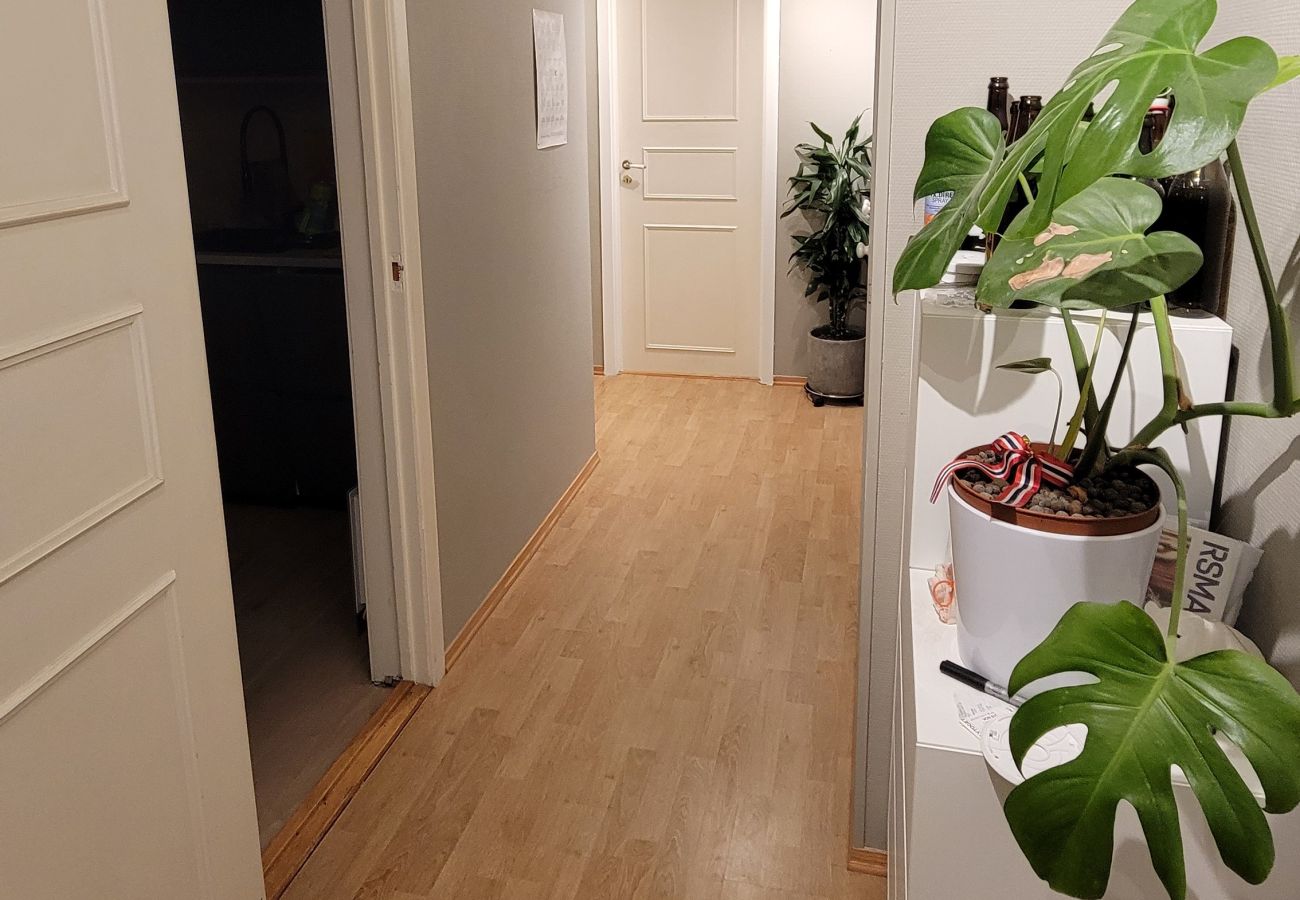 Leilighet i Bergen - Leilighet med sjø og fjellutsikt