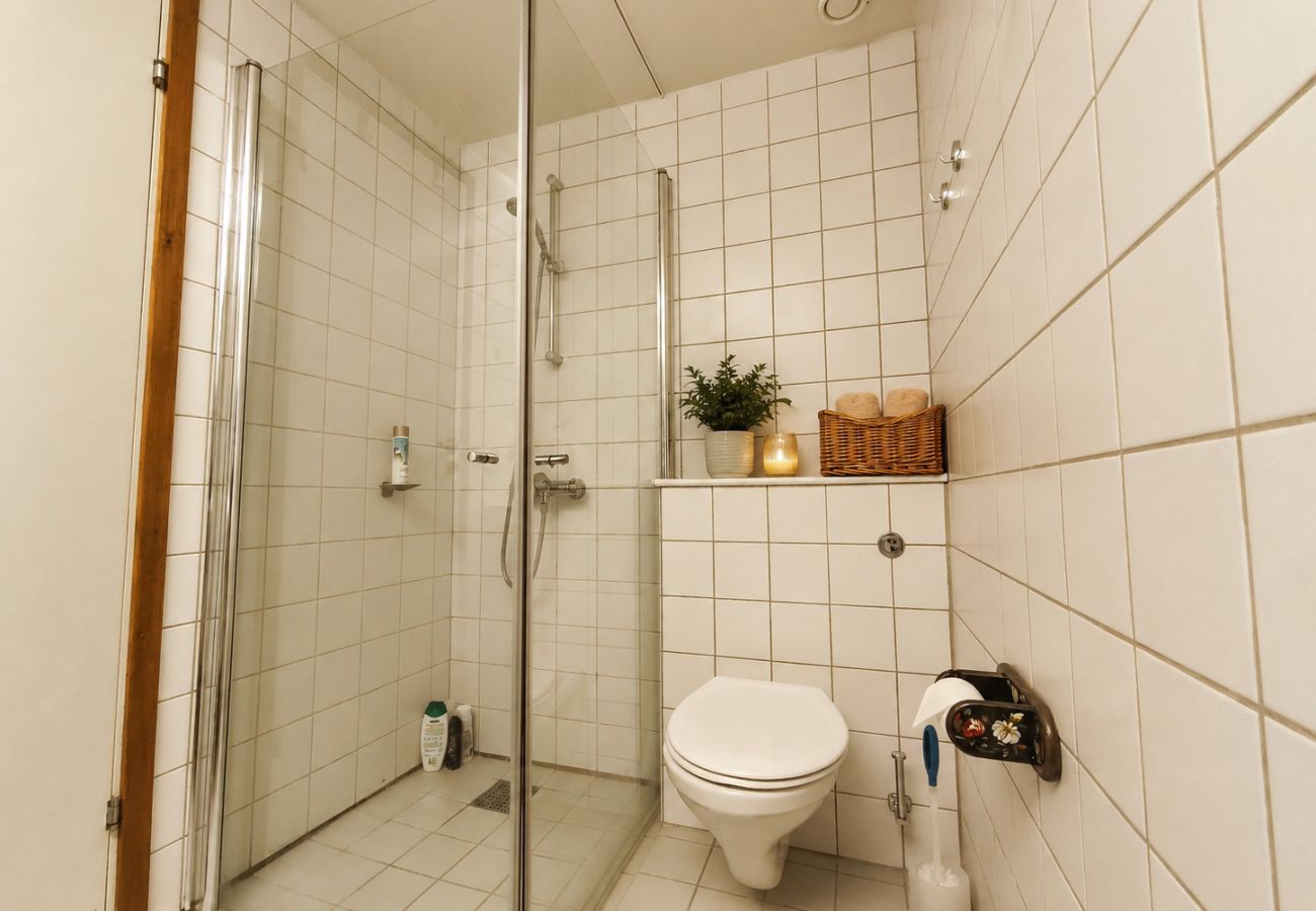 Leilighet i Hol - Romslig og sentral leilighet på Ustaoset