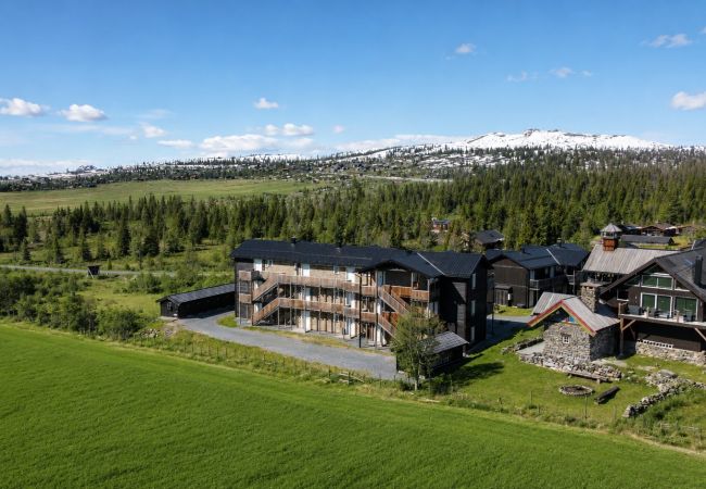 Leilighet i Gol - Leilighet på Golsfjellet med badstue
