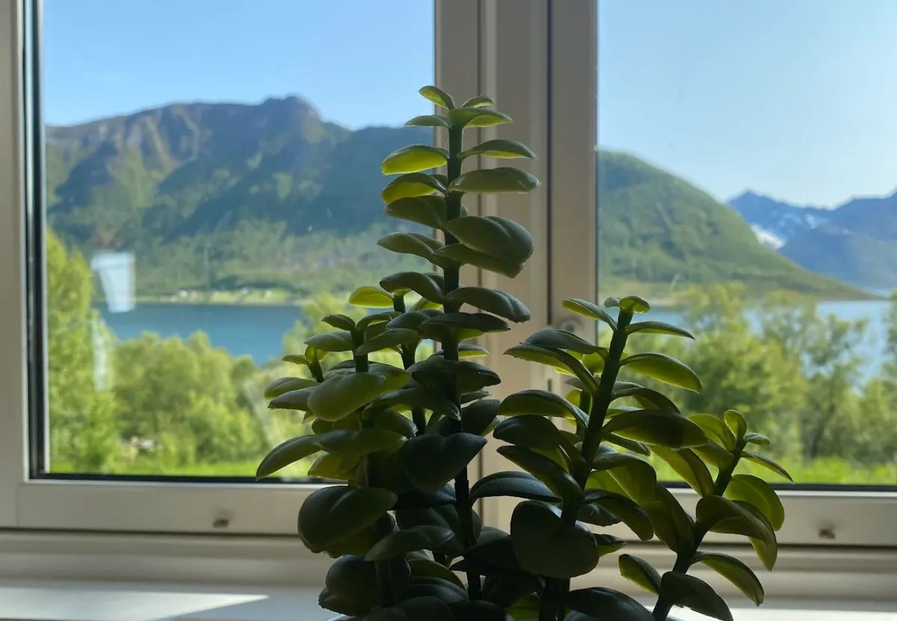 Hytte i Senja - Sjarmerende liten hytte med havutsikt på Senja