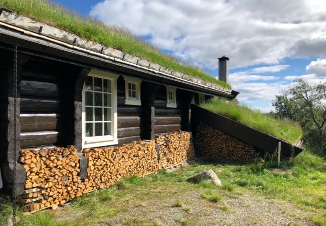 Hytte i Hol - Budalen, romslig hytte nært skiløyper