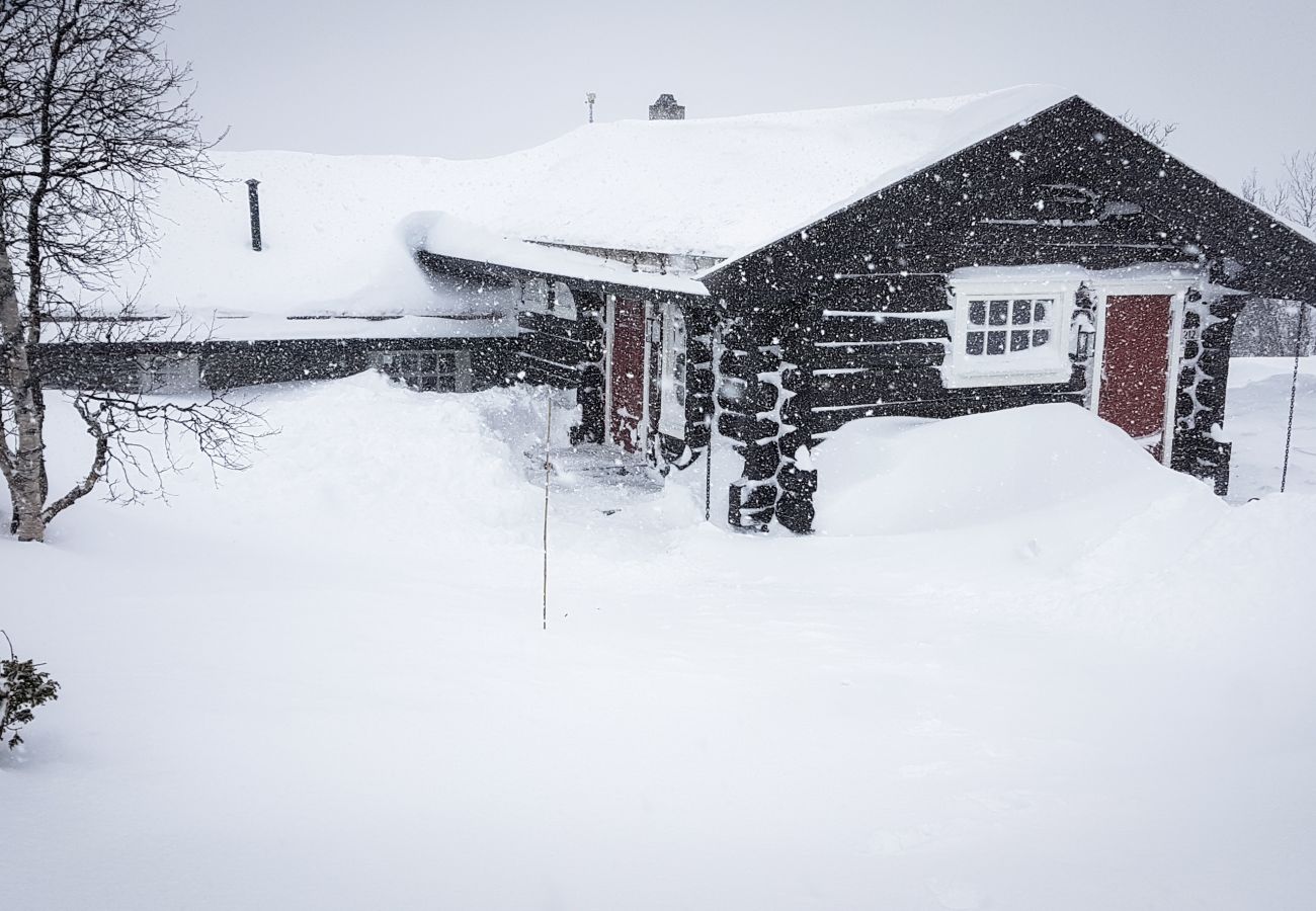 Hytte i Hol - Budalen, romslig hytte nært skiløyper