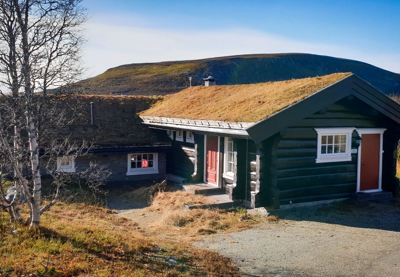 Hytte i Hol - Budalen, romslig hytte nært skiløyper