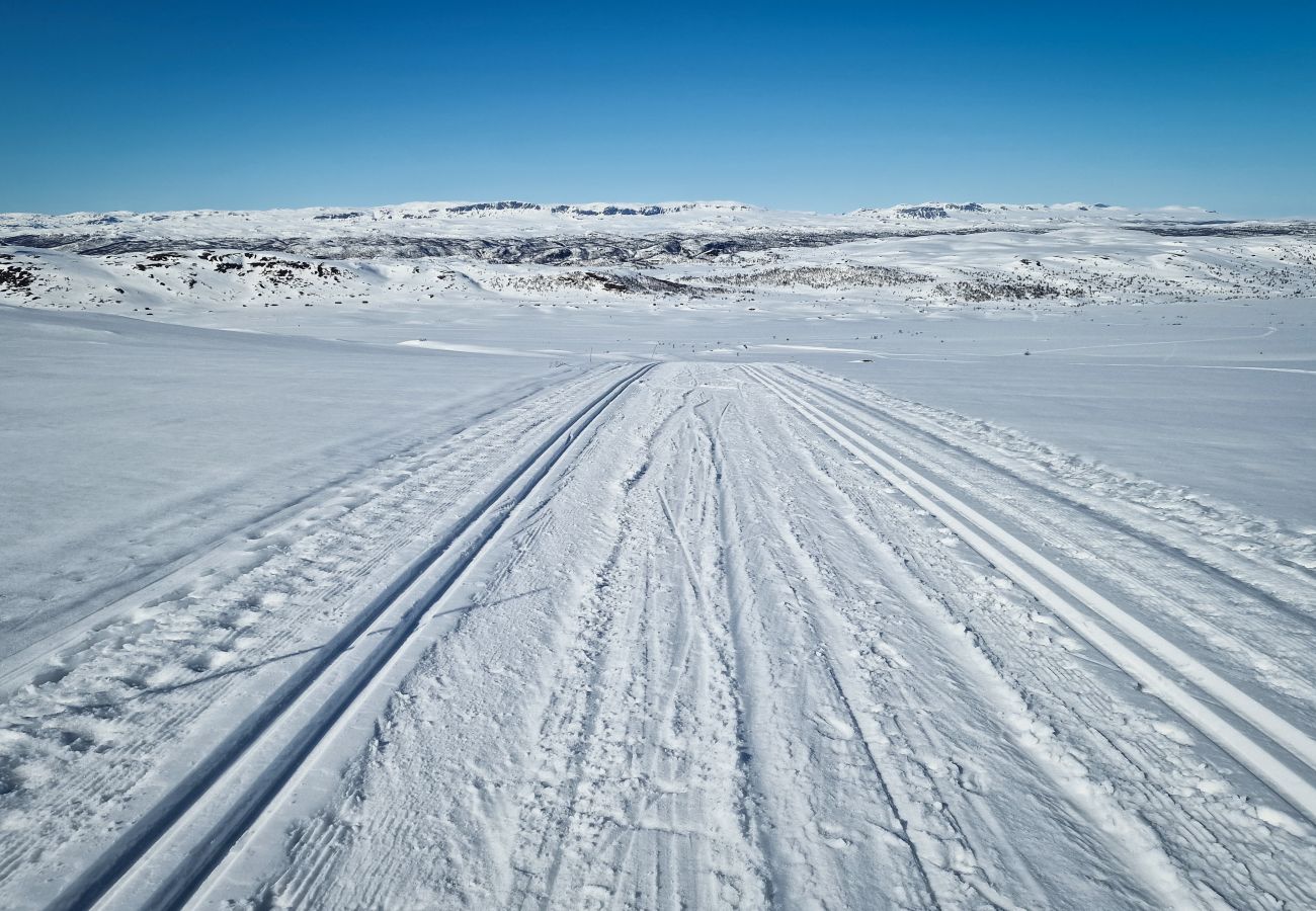 Hytte i Hol - Budalen, romslig hytte nært skiløyper