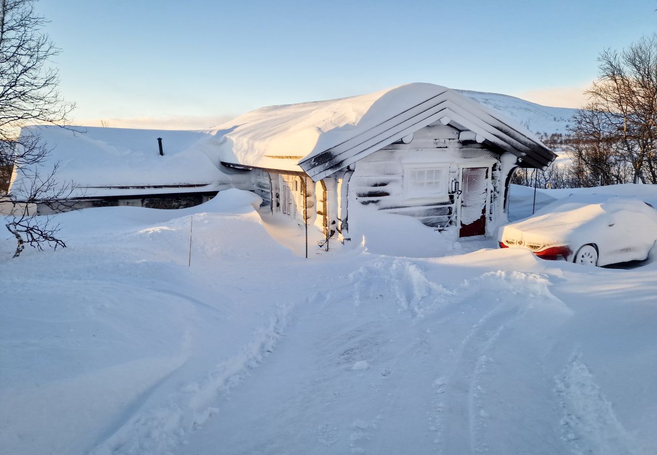 Hytte i Hol - Budalen, romslig hytte nært skiløyper