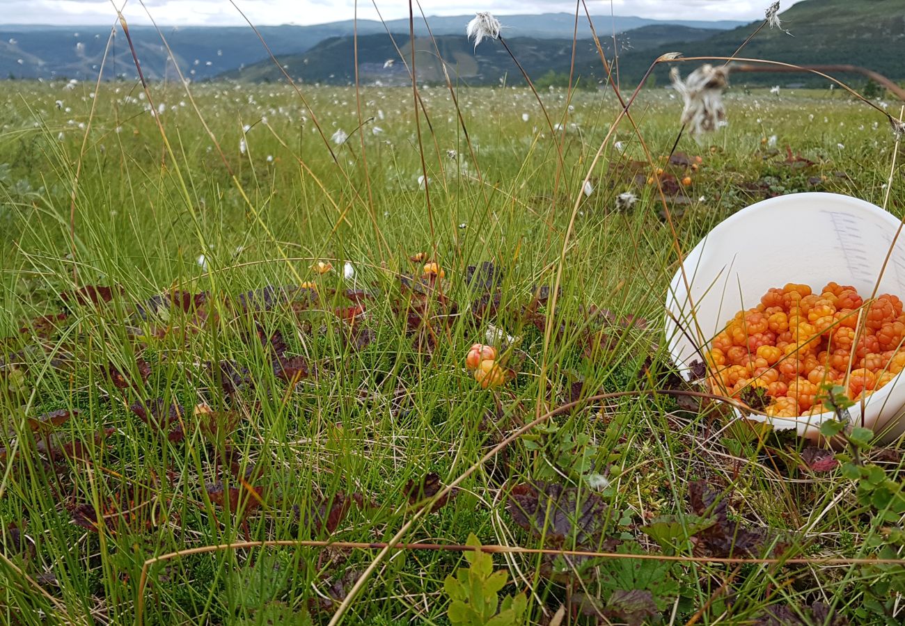 Hytte i Hol - Budalen, romslig hytte nært skiløyper