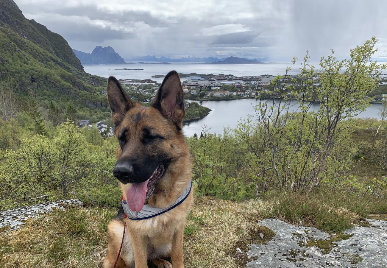 Villa i Vågan - Lofoten Villa med sjøtomt