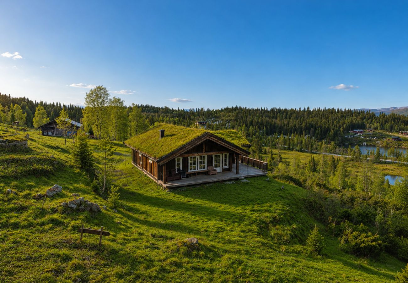 Hytte i Gol - Koselig fjellhytte på Golsfjellet