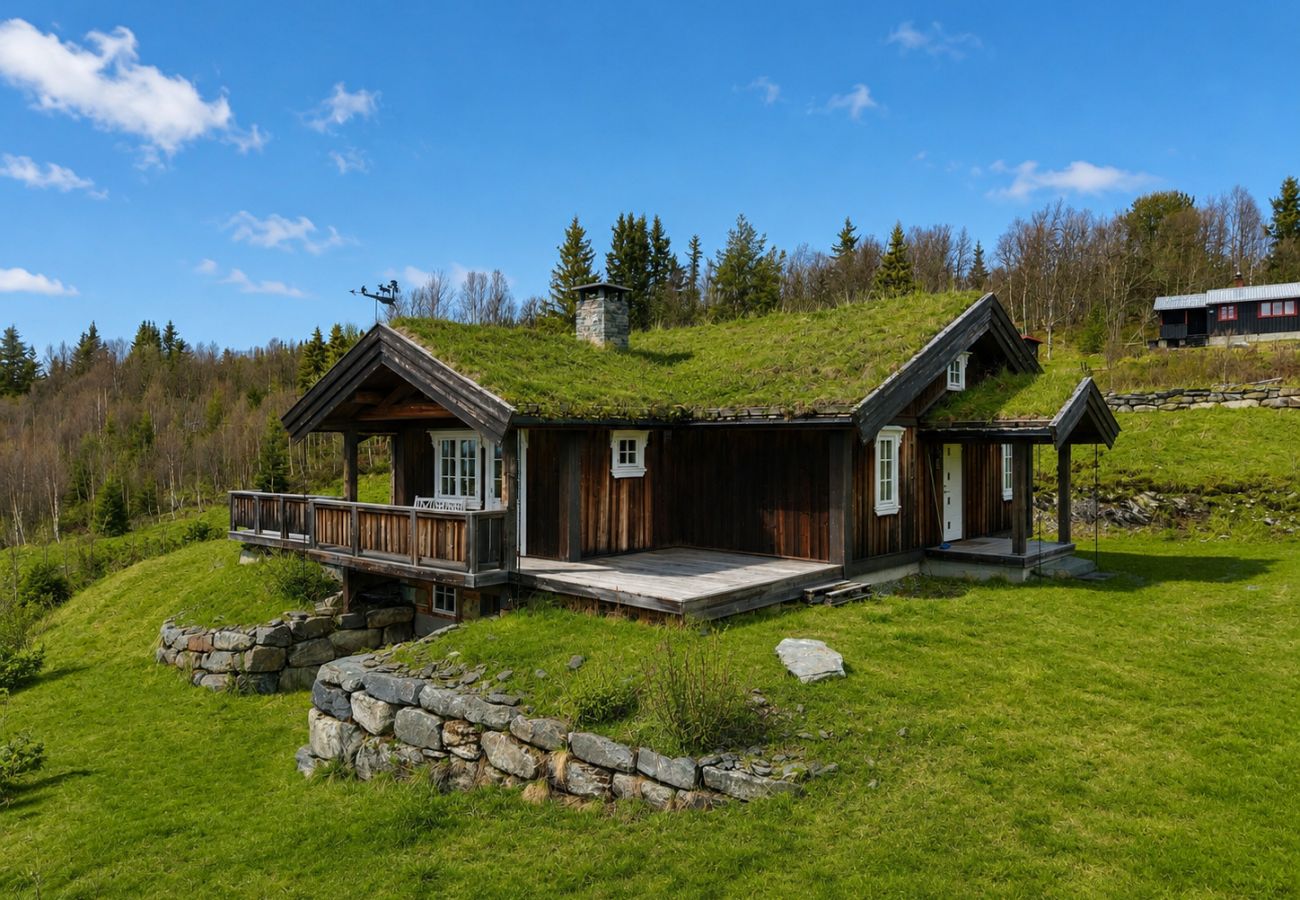 Hytte i Gol - Koselig fjellhytte på Golsfjellet