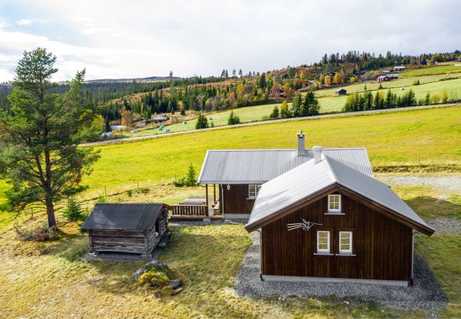 Hytte i Gol - Moderne fjellhytte på Gol