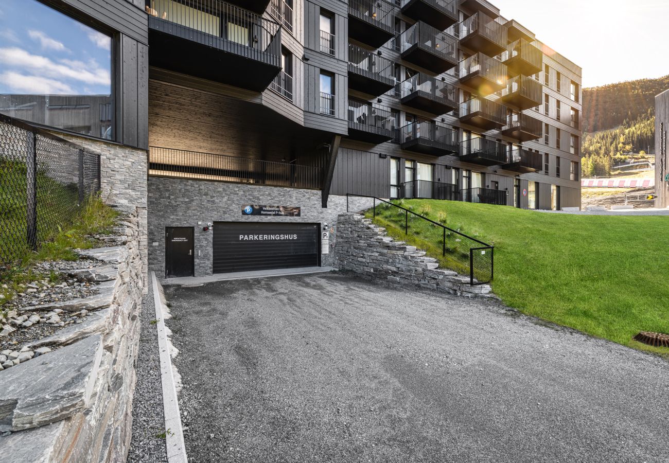 Leilighet i Hemsedal - Leilighet i Hemsedal med ski-inn-ski-out
