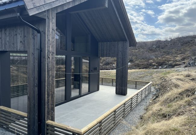 Hytte i Hol - Ny romslig hytte med badstue, Geilo