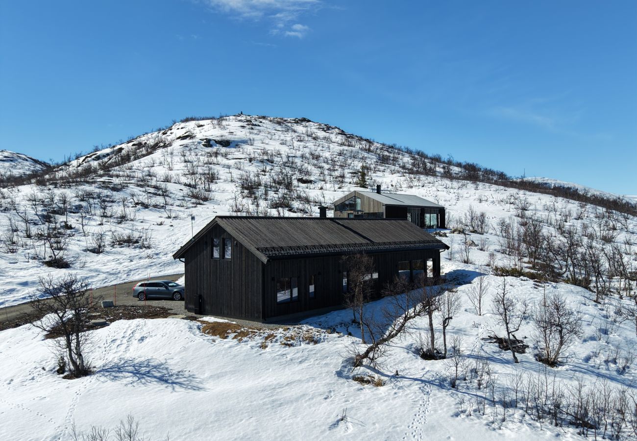 Hytte i Hol - Ny romslig hytte med badstue, Geilo