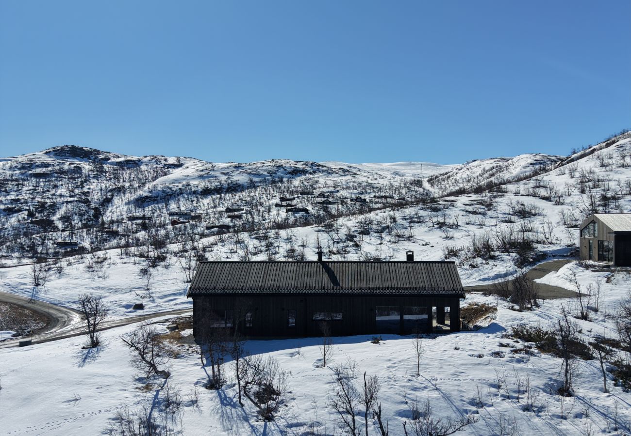 Hytte i Hol - Ny romslig hytte med badstue, Geilo