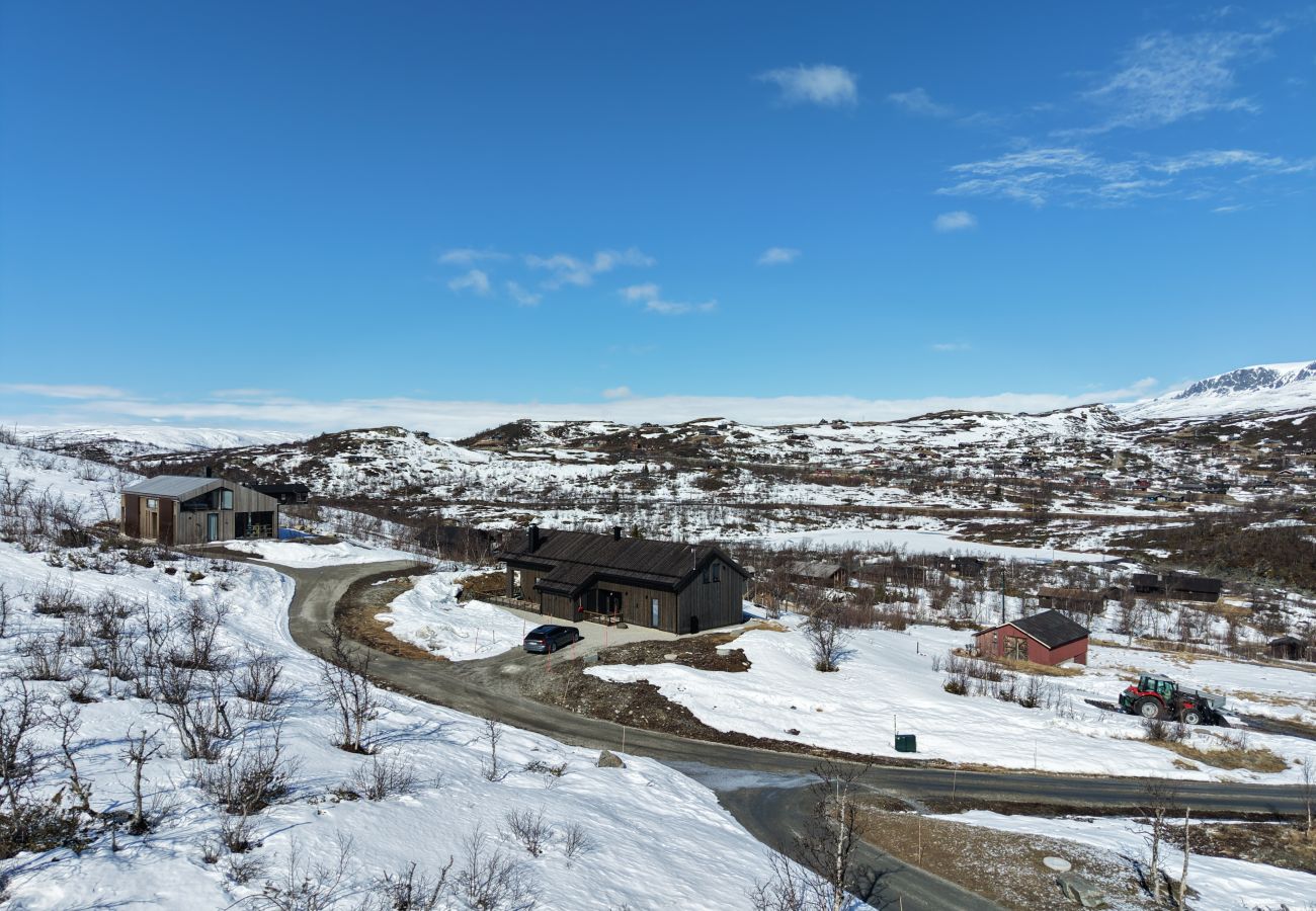 Hytte i Hol - Ny romslig hytte med badstue, Geilo